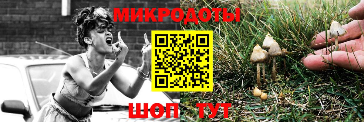 Галлюциногенные грибы мицелий  Вход с VPN  Медногорск 