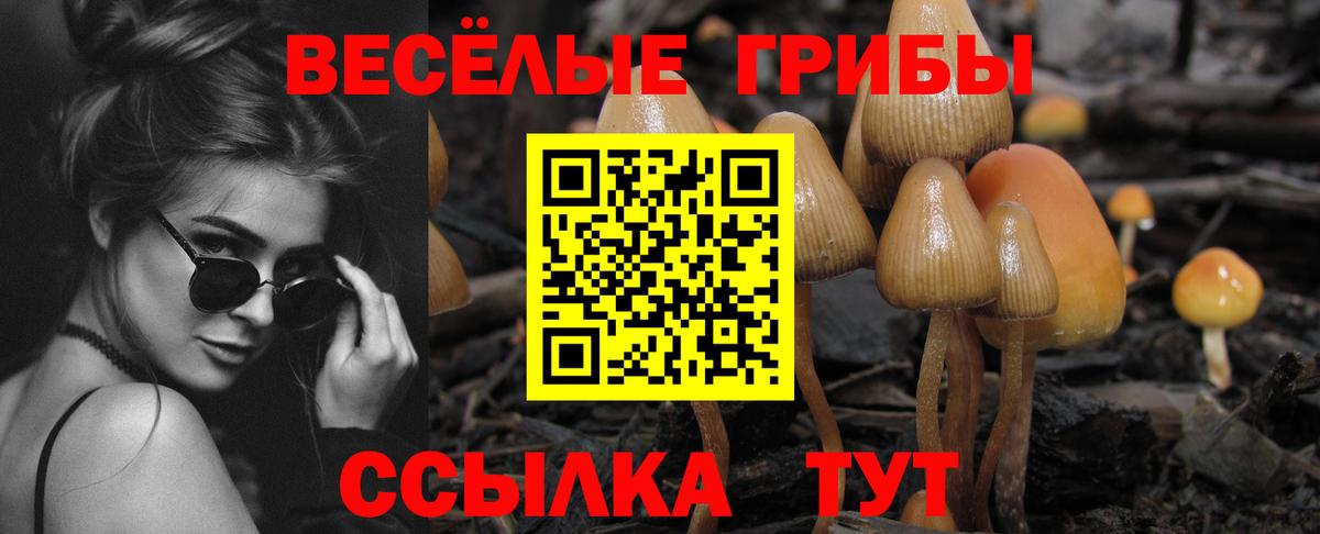 Галлюциногенные грибы Cubensis Медногорск